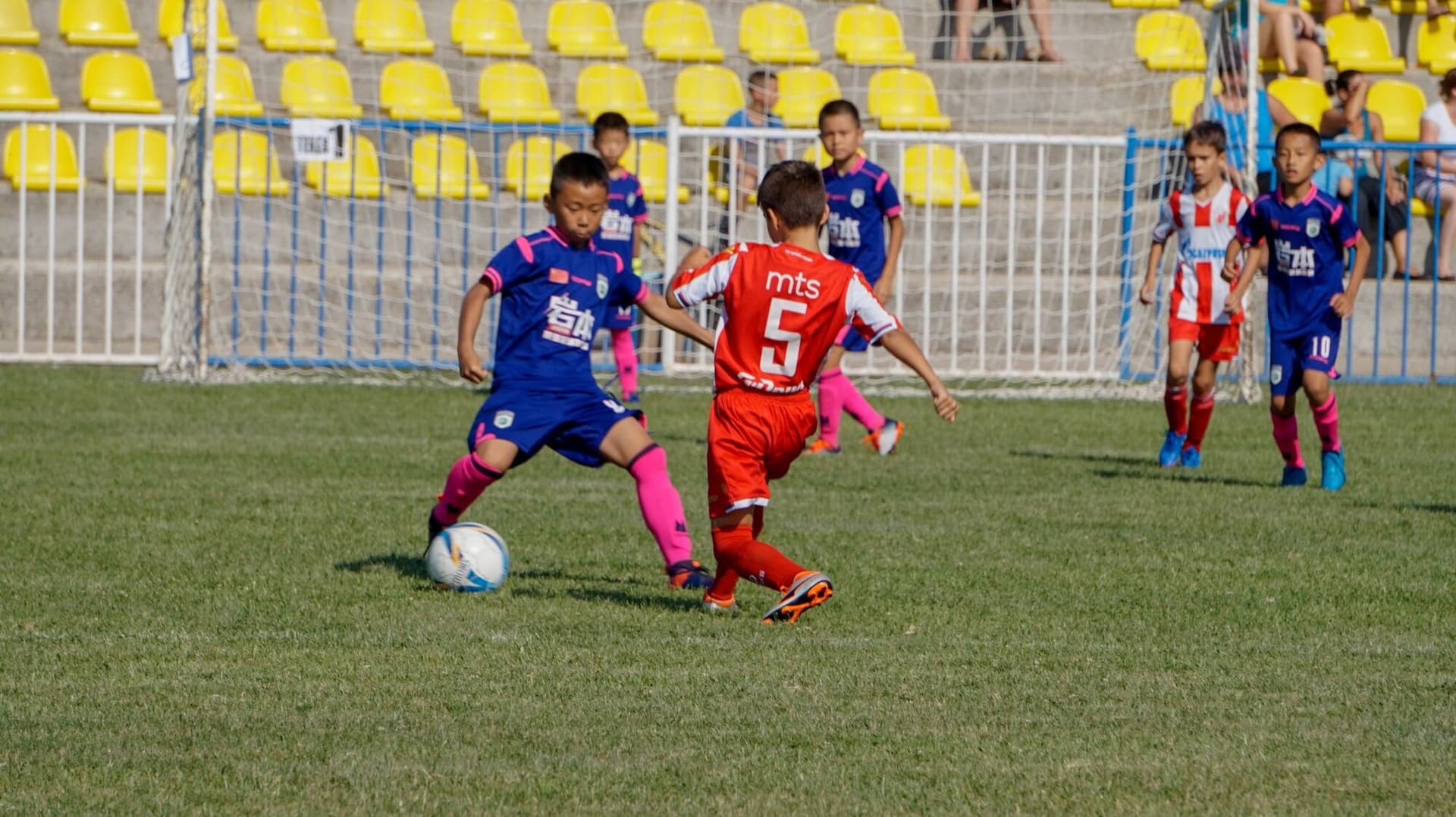 Champion of Champions Negotin 2019, photo 6 of 13